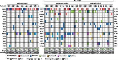 Genomic Profiling and Prognostic Value Analysis of Genetic Alterations in Chinese Resected Lung Cancer With Invasive Mucinous Adenocarcinoma